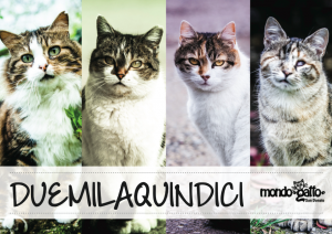 Schermata 2014-09-13 alle 10.48.28